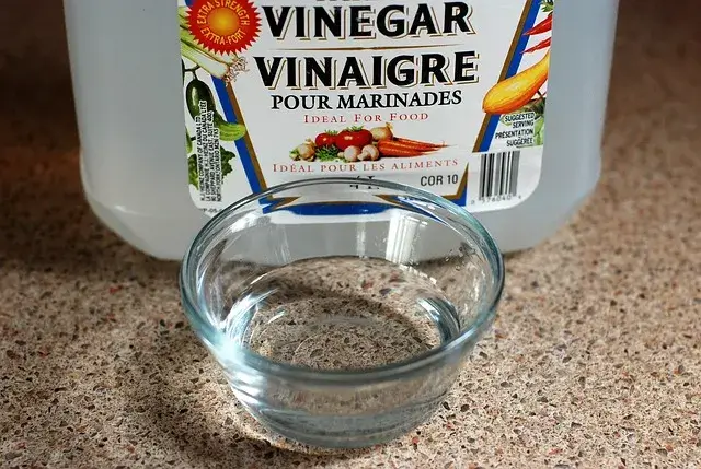 vinegar - How to Deep Clean a Gas Stove